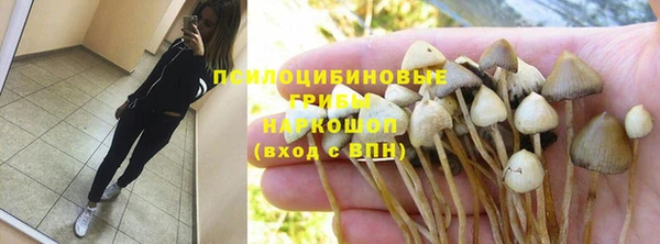 гашик Абдулино