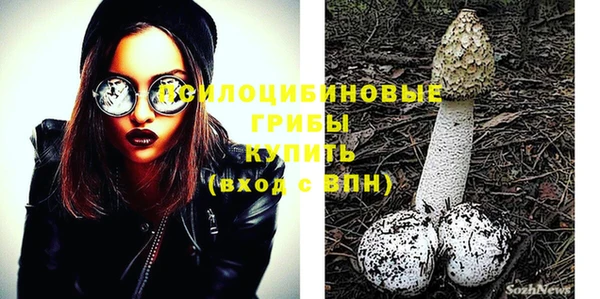 гашик Абдулино