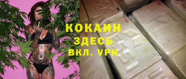 твердый Абаза